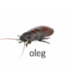 🐱 emoji я балбесик бебебе Telegram sticker 23 of 120