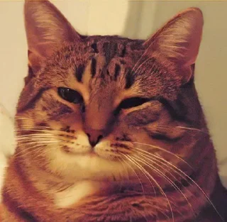 😏 emoji Килька Калька Telegram sticker 14 of 50