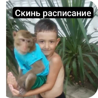 🎢 emoji Скинь расписание Telegram sticker 5 of 21