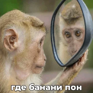 🥵 emoji ПОНчики @eternl7 Telegram sticker 20 of 24