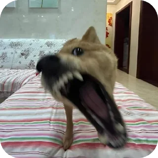 🐶 emoji Сыр карандаш муравей Telegram sticker 4 of 14