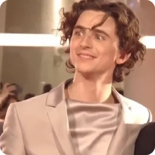 Sticker from Timothée Chalamet (@tfberg)