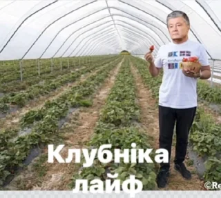 👅 emoji Порох зе бест бай аліньондзе Telegram sticker 23 of 47