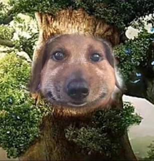 🐕 emoji @potomblin мудрый дуб нахуй Telegram sticker 12 of 114