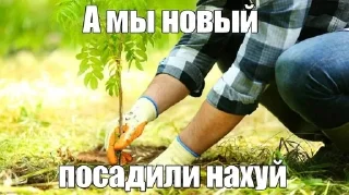 🌳 emoji @potomblin мудрый дуб нахуй Telegram sticker 19 of 114