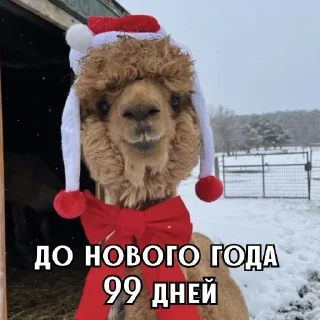 Sticker from До НГ осталось @Earth928B