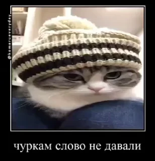 🤨 emoji Кемерово Telegram sticker 23 of 54