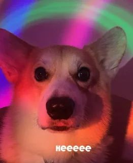 🙁 emoji ЛЕОНИДДД Telegram sticker 22 of 41