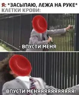 Sticker from Павапеве гемабоди мемсы