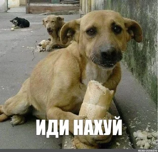 🫣 emoji 0к аверага Telegram sticker 10 of 13