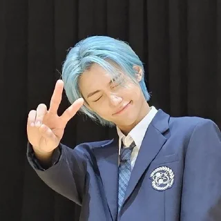 🦋 emoji Skz♡ Telegram sticker 13 of 50