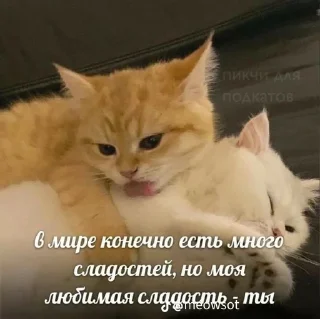 🌟 emoji Пикчи для любимой Telegram sticker 17 of 80