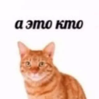 🌼 emoji Чилипиздрия – отдельный фандом Telegram sticker 18 of 43