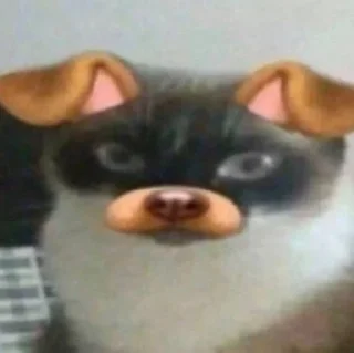 🌟 emoji я нюхаю Telegram sticker 5 of 12
