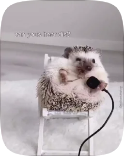 👅 emoji Їжачки то життя!! Telegram sticker 15 of 33