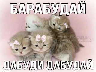 🌟 emoji Игоревна и котячий мир Telegram sticker 10 of 74