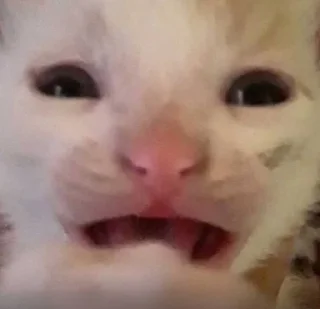 🌟 emoji аааааа бэд трип суеа Telegram sticker 20 of 29
