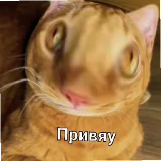 😄 emoji Симбочка Пимпочка Telegram sticker 5 of 10