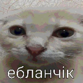 🤪 emoji Крейзи мега дед Telegram sticker 21 of 120