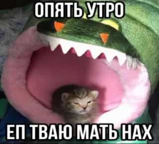 🌟 emoji Шиза Абобы228 :: @Aboba228_011 @fStikBot Telegram sticker 12 of 120