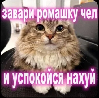 🌟 emoji Шиза Абобы228 :: @Aboba228_011 @fStikBot Telegram sticker 8 of 120