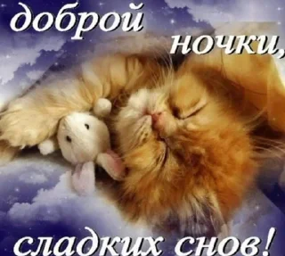 🌟 emoji Шиза Абобы228 :: @Aboba228_011 @fStikBot Telegram sticker 22 of 120