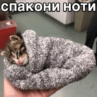 🌟 emoji Шиза Абобы228_1.1 :: @Aboba228_011 @fStikBot Telegram sticker 15 of 80