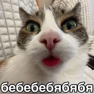 🌟 emoji Шиза Абобы228_1.1 :: @Aboba228_011 @fStikBot Telegram sticker 7 of 80