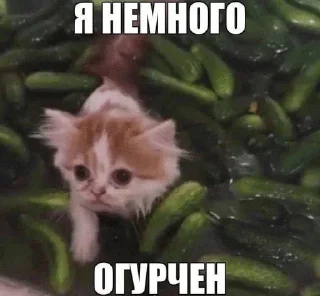 🌟 emoji Шиза Абобы228_1.1 :: @Aboba228_011 @fStikBot Telegram sticker 11 of 80