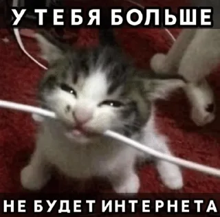 🌟 emoji Шиза Абобы228_1.1 :: @Aboba228_011 @fStikBot Telegram sticker 24 of 80