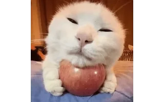 🌟 emoji Коха Яблоко Telegram sticker 23 of 120
