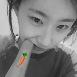 🥕 emoji chaeryeong @kim1chr Telegram sticker 15 of 61