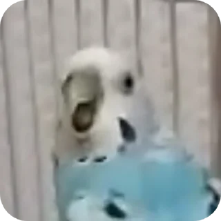 🐶 emoji вася и лили Telegram sticker 7 of 10
