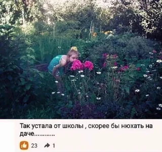 🌷 emoji стикеры Мэшки Telegram sticker 7 of 109
