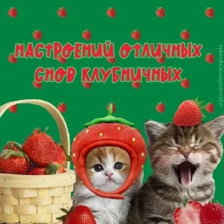 😴 emoji утро и ночь Telegram sticker 15 of 119