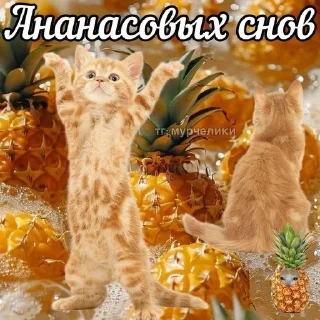 😴 emoji утро и ночь Telegram sticker 23 of 119