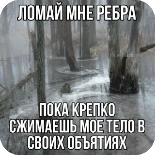 👍 emoji жиза Telegram sticker 21 of 76