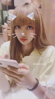 Sticker from blackpink🫶🫀