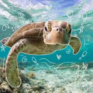 🌟 emoji Морские обитатели Telegram sticker 5 of 29