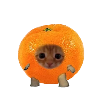 🎞 emoji Mommy🧔🏿‍♀ Telegram sticker 22 of 45