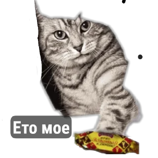 🐱 emoji ирис @zolotoy_chlyuchik Telegram sticker 5 of 22