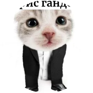 Sticker from Ирис