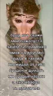 🌟 emoji Кирилл дождался. Telegram sticker 8 of 8