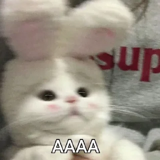 🌟 emoji мяукалки Telegram sticker 17 of 37