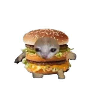 🍔 emoji кiт Telegram sticker 16 of 53