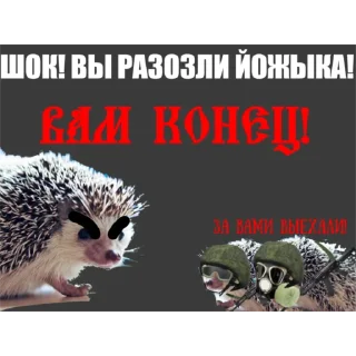🤬 emoji Культ личности Романа Хорса Telegram sticker 16 of 17