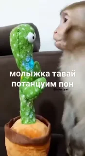 😏 emoji Набор ат хз @TgEmodziBot Telegram sticker 22 of 61