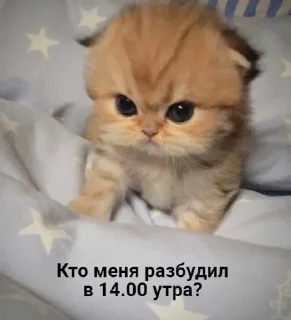 Sticker from че за айви