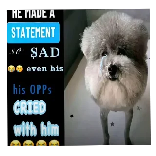 🐶 emoji he made a statement so Telegram sticker 24 of 31