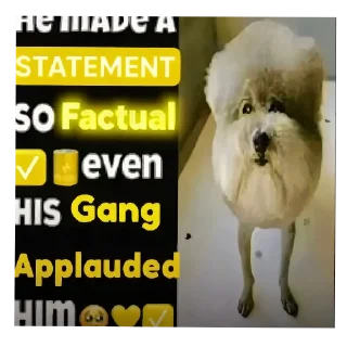👍 emoji he made a statement so Telegram sticker 13 of 31